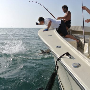 AL CUSTOM - AL 25 – Fishing Boat