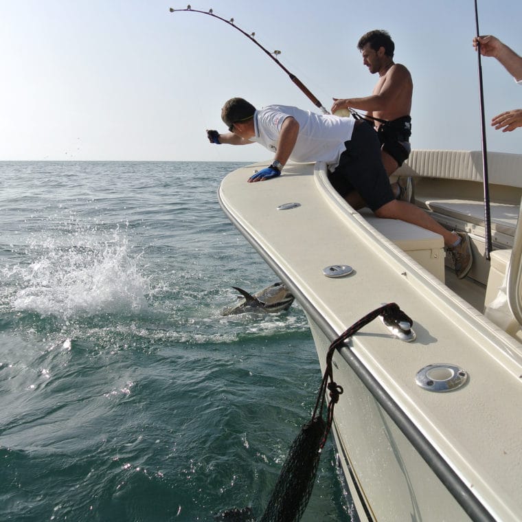 AL CUSTOM - AL 25 – Fishing Boat